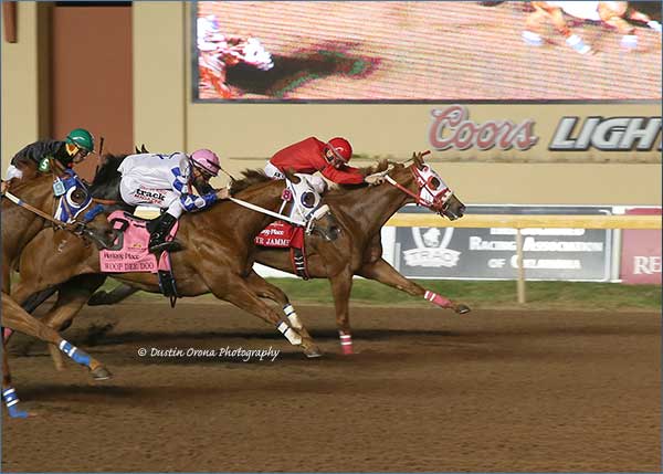 Heritage Place Derby [G2] Winner GYR JAMMER - Dustin Orona Photography