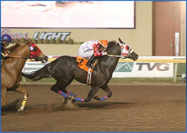Home Boy James Continues Winning Streak at Remington Park<br> © Dustin Orona Photograph