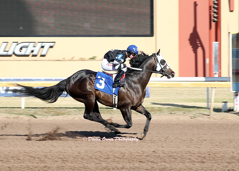 Big Lew at Remington Park • Dustin Orona Photography