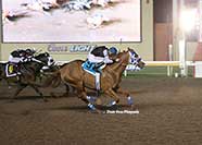 Bodacious Eagle wins Leo Stakes | Photo Dustin Orona