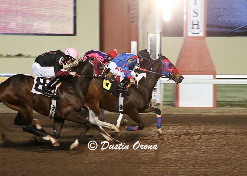 Hotwireddotcom fastest time in Oklahoma Paint and Appaloosa Futurity