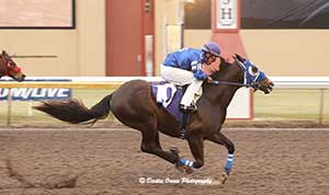 Pyc Fun N Fancy, under jockey Daniel Torres, kicked off the night in the first trial. © Dustin Orona Photography