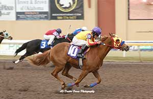 Fastest qualifier Ima China Rush (#10) leads fellow qualifiers Chasin My Desire and Krash Master into the $525,050 Oklahoma Futurity(G3) at Remington Park Saturday night. 
© Dustin Orona Photography