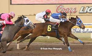 Piloto Strong was the third qualifier for jockey Daniel Torres. © Dustin Orona Photography
