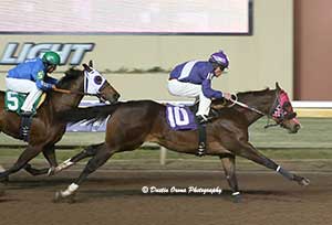 Lions Express, under jockey Edwuin Lujan, qualifying from the eight trial. © Dustin Orona Photography