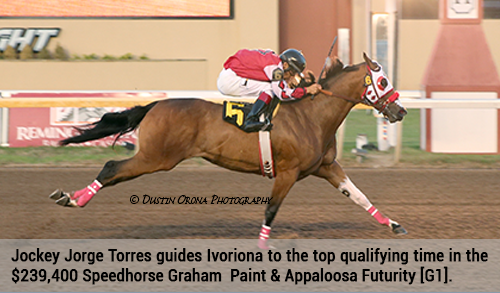 IVORIONA fastest qualifier Speedhorse Graham Futurity
