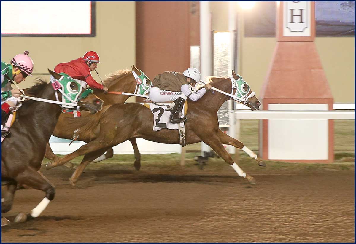 CL TRAP QUEEN is top Qualifier for Oklahoma Paint & Appaloosa Futurity © Photo Dustin Orona