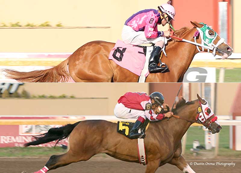 Ivoriona and PHQ Goodbye Earl, shown winning their trials for the Speedhorse Graham Futurity in 2016, will face each other in a trial for the Speedhorse Graham Derby on Friday, March 10 at Remington Park. Ivoriona and PHQ Goodbye Earl were dead-heat winners in the futurity at Remington Park last year.   Credit: Dustin Orona Photography