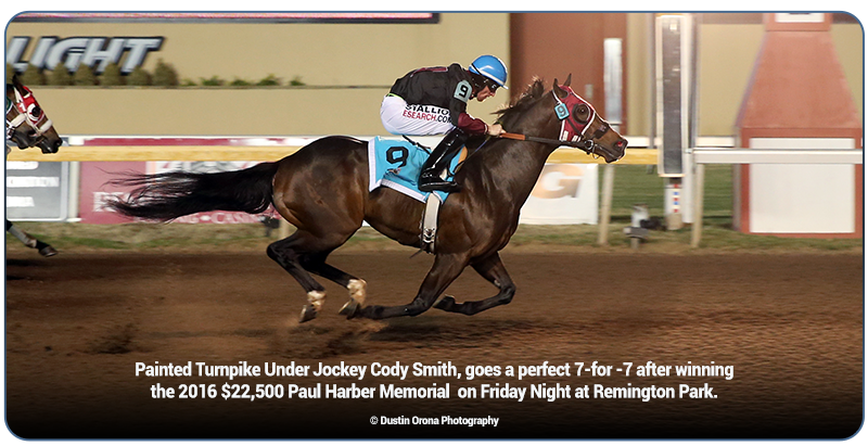 PAINTED TURNPIKE Continues Impressive Season, Glides to Victory in Paul Harber Memorial