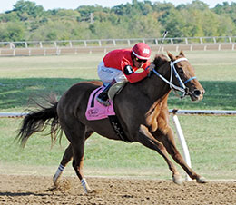 First Rate Return, under jockey James Flores, easily winning the $50,310 John Deere Will Rogers Juvenile Challenge on Sunday.  © Coady Photography 